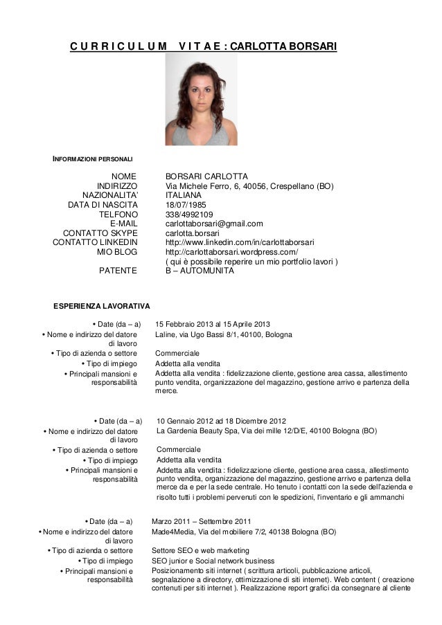Curriculum vitae template image