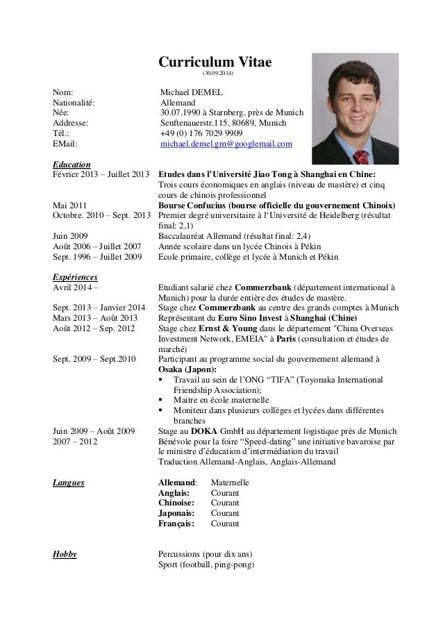 cv francais michael demel cv model en francais
