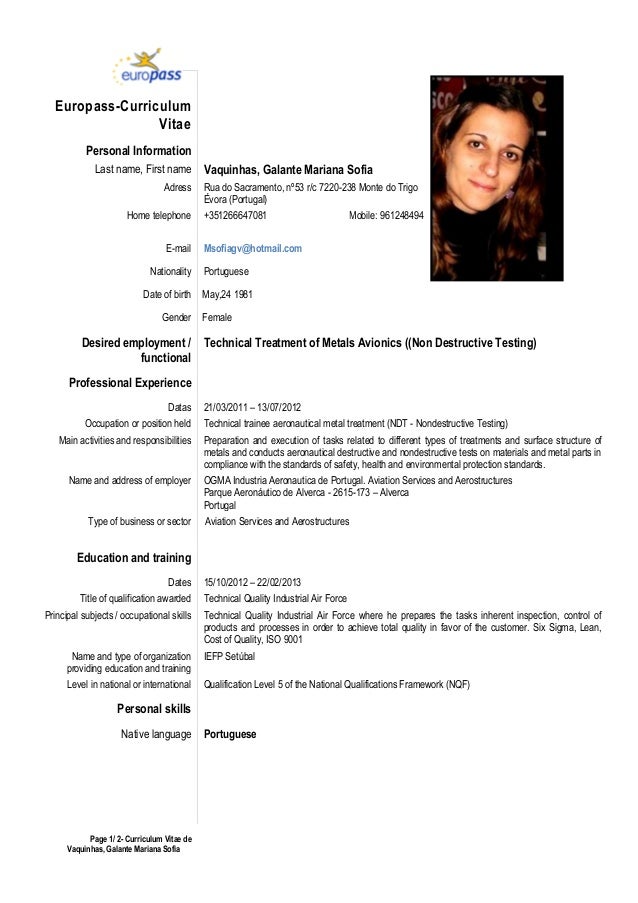 curriculum vitae portugal 2013