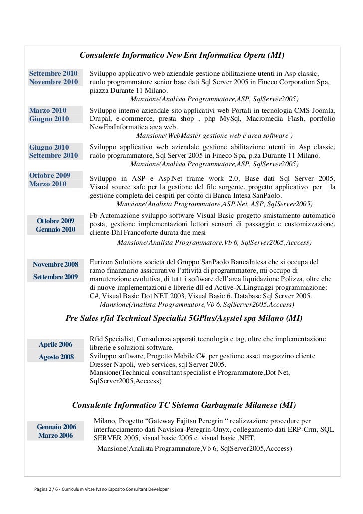 Au pair cv example image