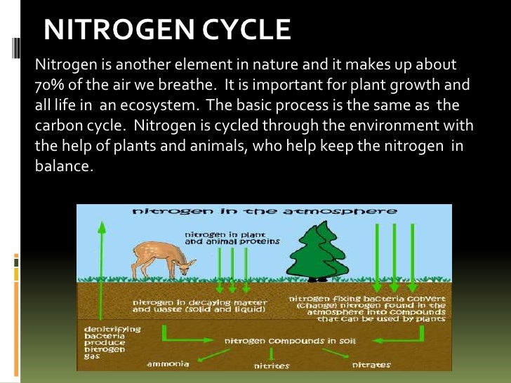 cycles of matter Notes: biogeochemical cycles (cycles of matter) unlike the one-way flow of energy, matter is recycled within and between ecosystems elements, chemical compounds, and. cycles of matter Notes: biogeochemical cycles (cycles of matter) unlike the one-way flow of energy, matter is recycled within and between ecosystems elements, chemical compounds, and.