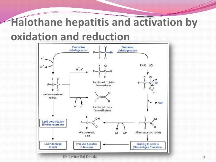 Azithromycin fluconazole interactions Azithromycin fluconazole interactions