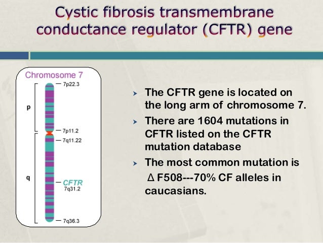 What gene or chromosome is mutated in cystic fibrosis