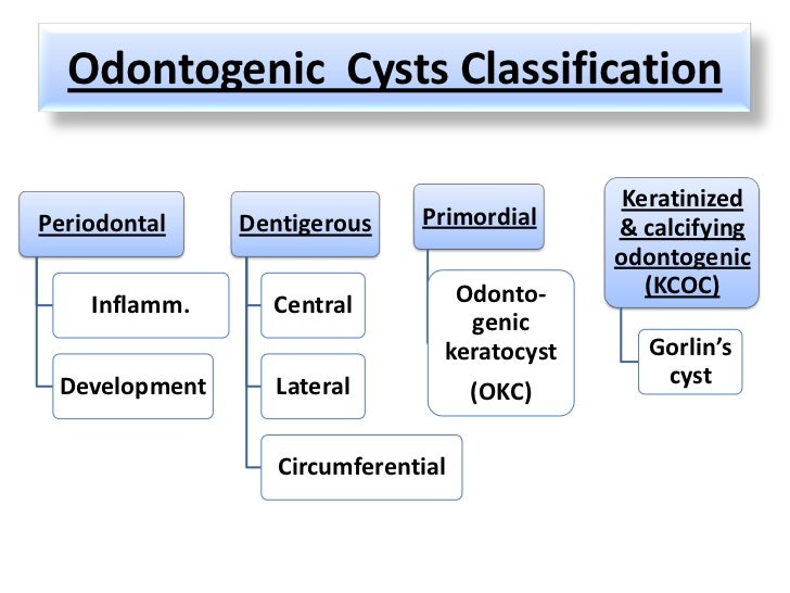 Cysts part 1