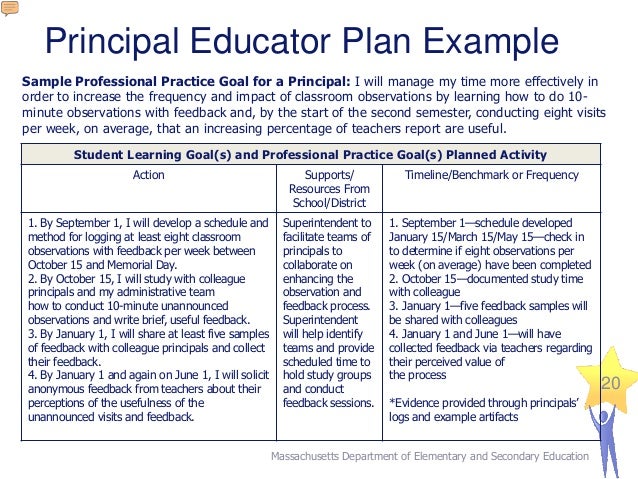 M4 30-professional-smart-goal-examples-example-document-template