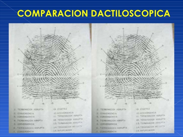 Dactiloscopia