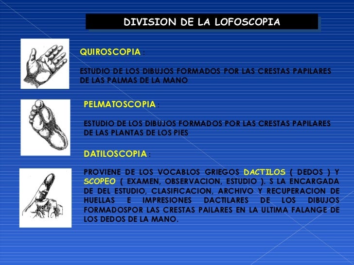 Dactiloscopia