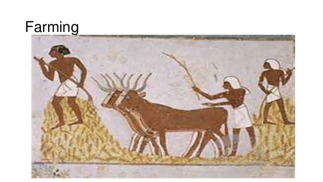 egyptian daily life Amazoncom: daily life of the egyptian gods (9780801482489): dimitri meeks, christine favard-meeks, g m goshgarian: books. egyptian daily life Amazoncom: daily life of the egyptian gods (9780801482489): dimitri meeks, christine favard-meeks, g m goshgarian: books.
