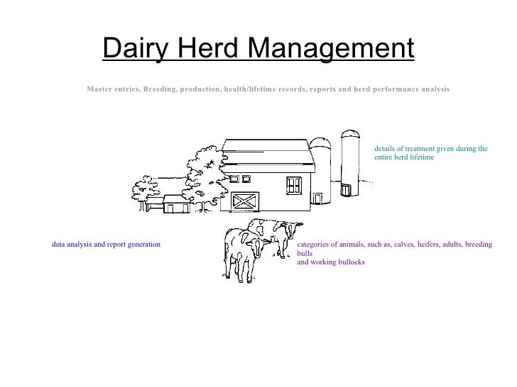 Dairy farming case_study