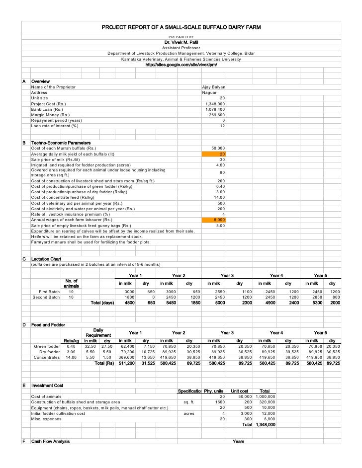 cow dairy farm project report pdf