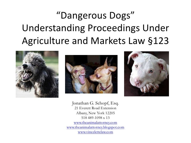 Dangerous Dog Law in New York