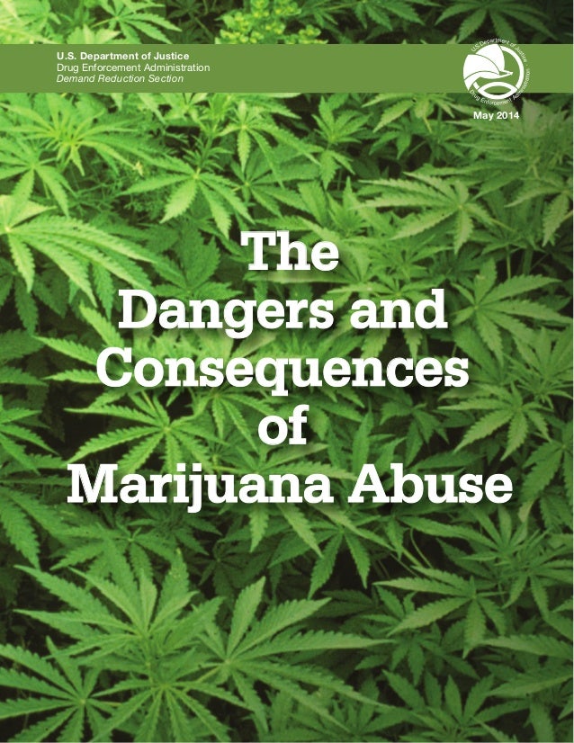marijuana and the misconception on the dangers of marijuana Marijuana is a well-liked and highly sought-after drug it is legalized in more states people use it to get a marijuana high what are the risks read on. marijuana and the misconception on the dangers of marijuana Marijuana is a well-liked and highly sought-after drug it is legalized in more states people use it to get a marijuana high what are the risks read on.