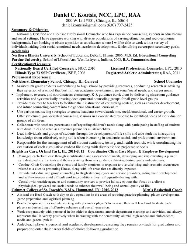 Professional resume school counselor