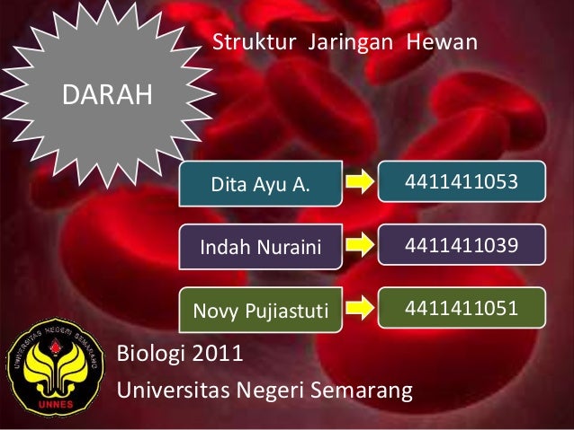 Jaringan Darah (Blood Tissue)