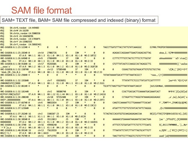 Figure1