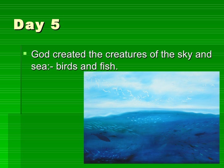 The First Day God And The Sky