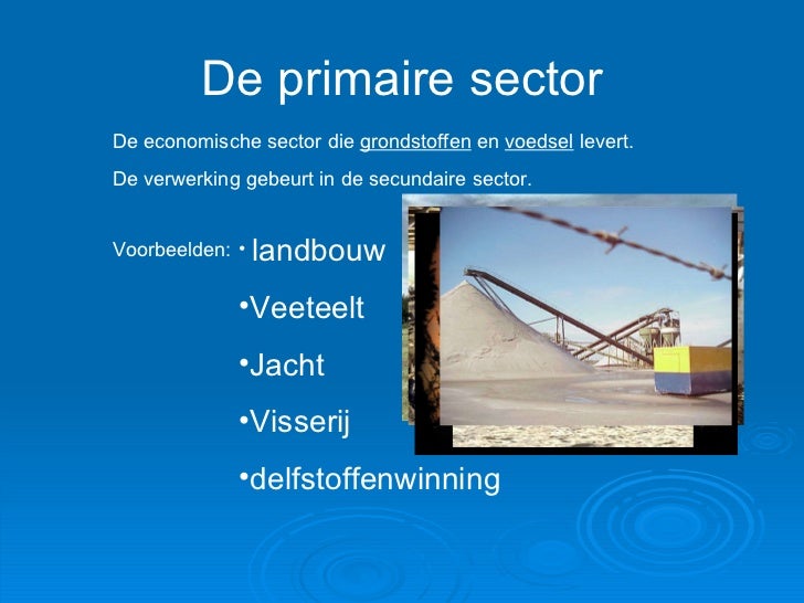 De 4 Sectoren In De Economie