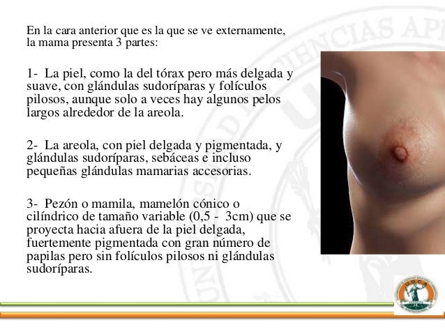 Los geles medicinales del acné