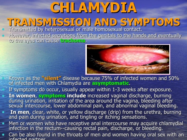 rate Clamidya transmission oral sex Launa recommend Awesome shaved pussy photos