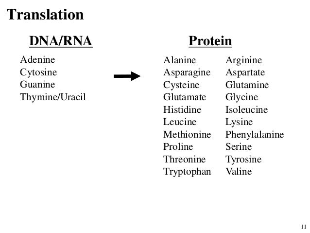 Case collection image