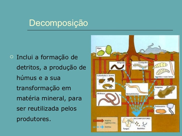 Decomposição