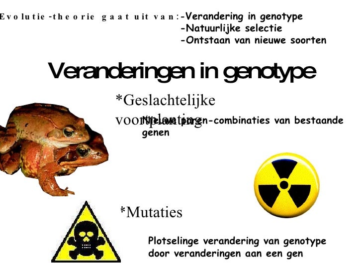 De Evolutieleer 2