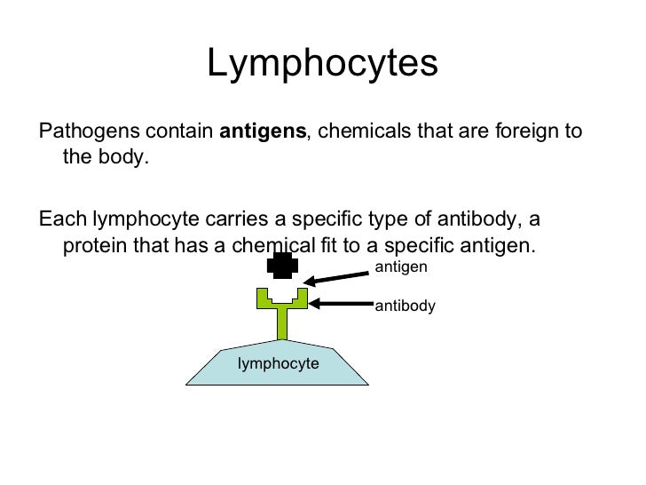 Defending Against Infection