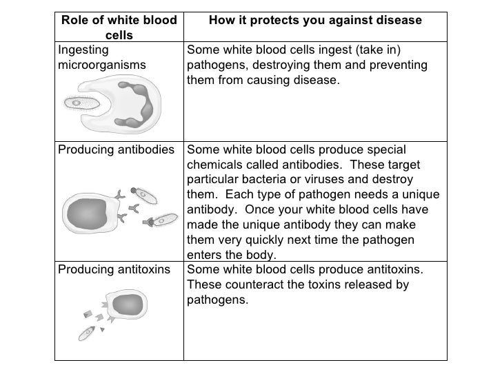 Defense Mechanisms