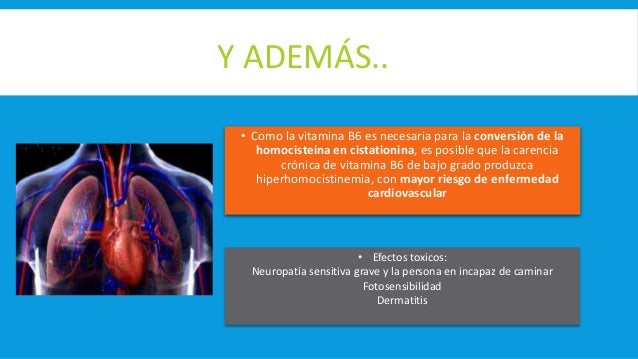 La eccema sobre la vena varicosa