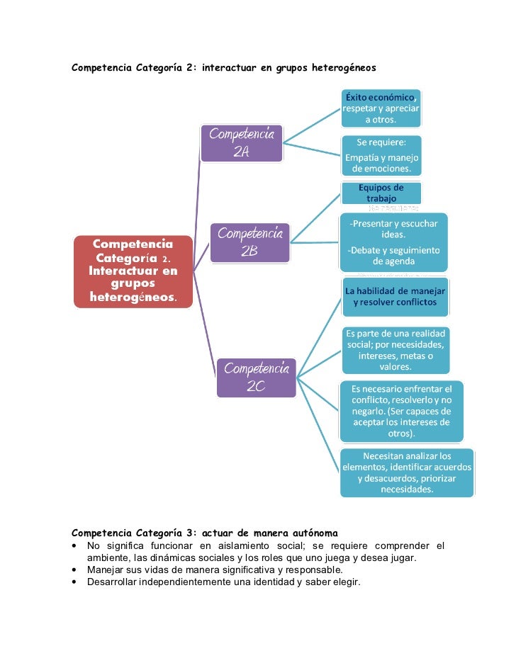 OCDE Definicion de competencias clave