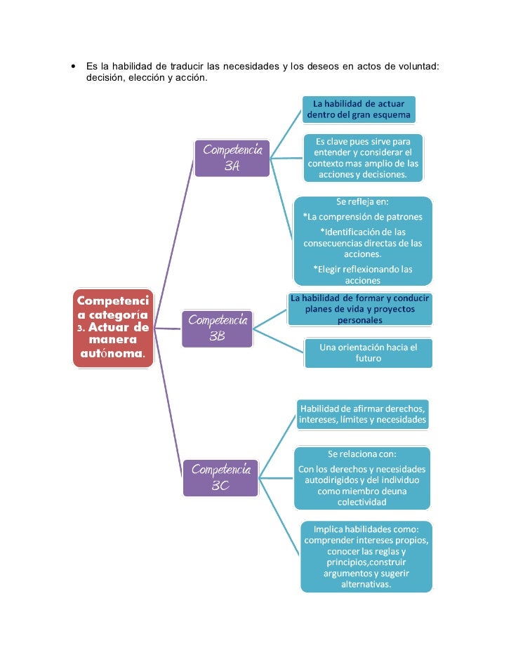 OCDE Definicion de competencias clave