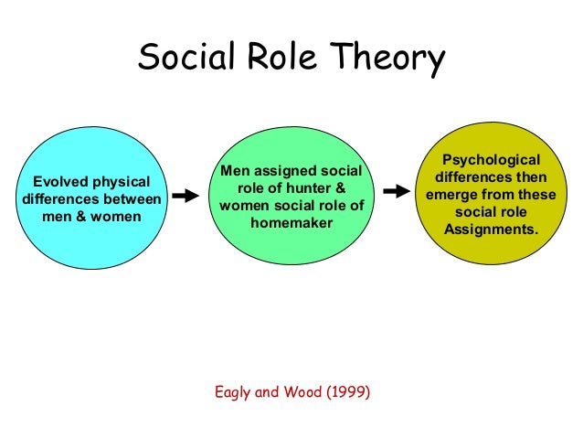 what is role theory in social work