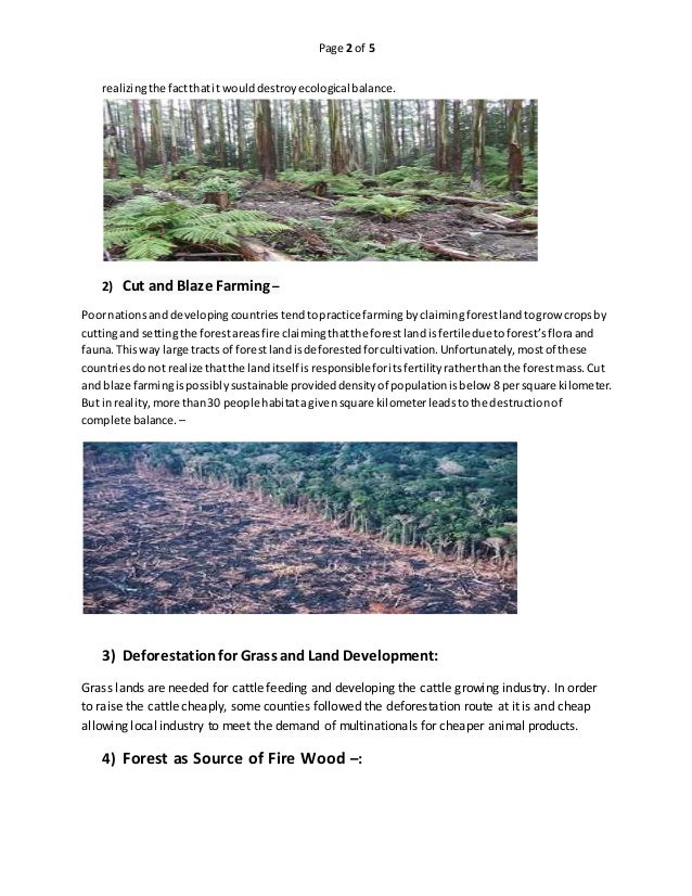 deforestation causes and effects essay deforestation causes and effects essay