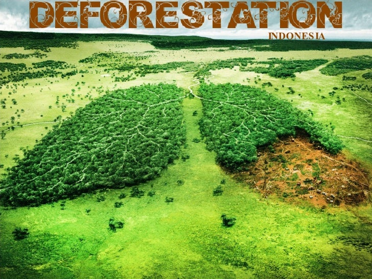 why is desertification bad