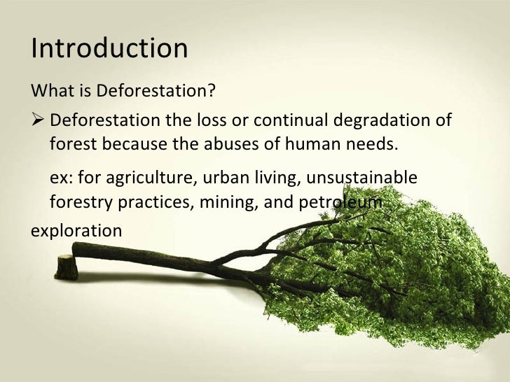 introduction of deforestation