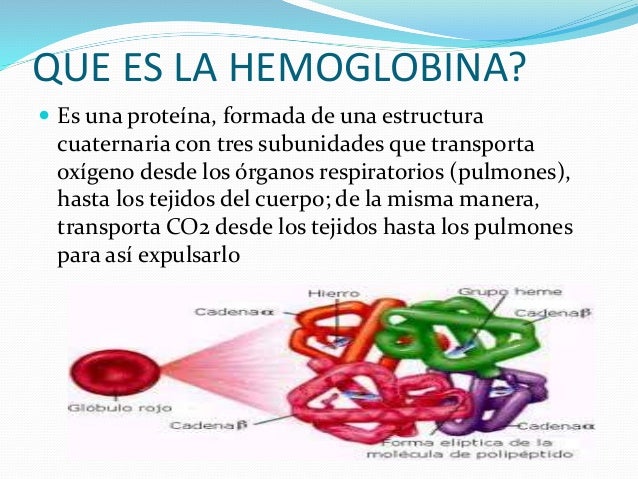 Hemoglobina baja - Como subir los niveles de hemoglobina Hemoglobina baja - Como subir los niveles de hemoglobina