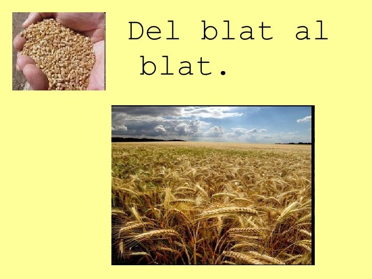 Del blat al blat. 