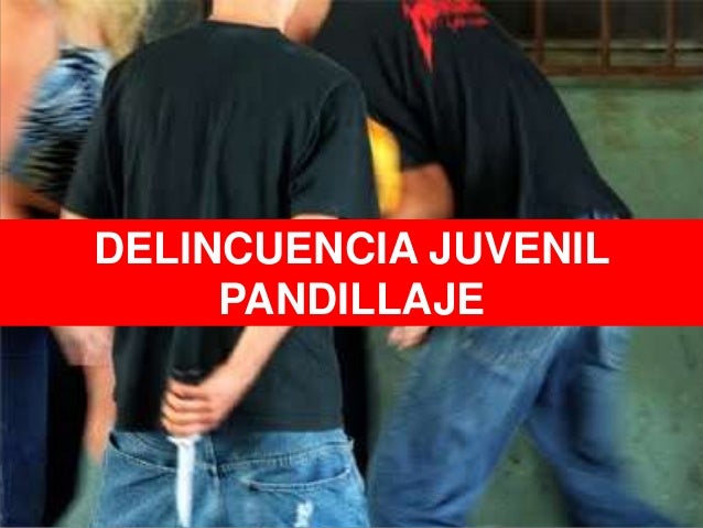 DELINCUENCIA JUVENIL CAUSAS delincuencia juvenil causas: