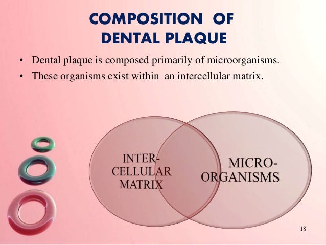 Dental Plaque