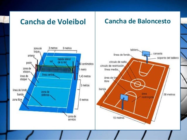 Resultado de imagen para historia de voley resumen