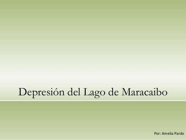 DEPRESION DEL LAGO DE MARACAIBO depresion del lago de maracaibo: