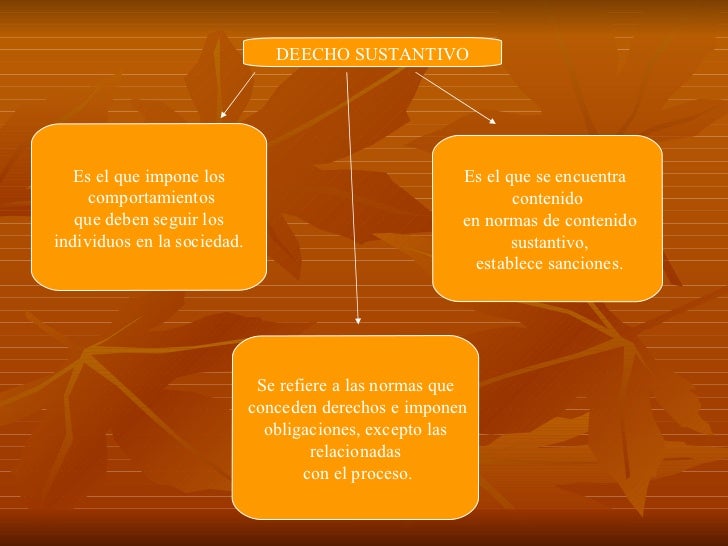 Derecho Adjetivo Y Sustantivo