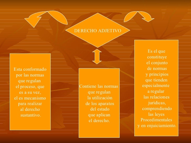 Derecho Adjetivo Y Sustantivo