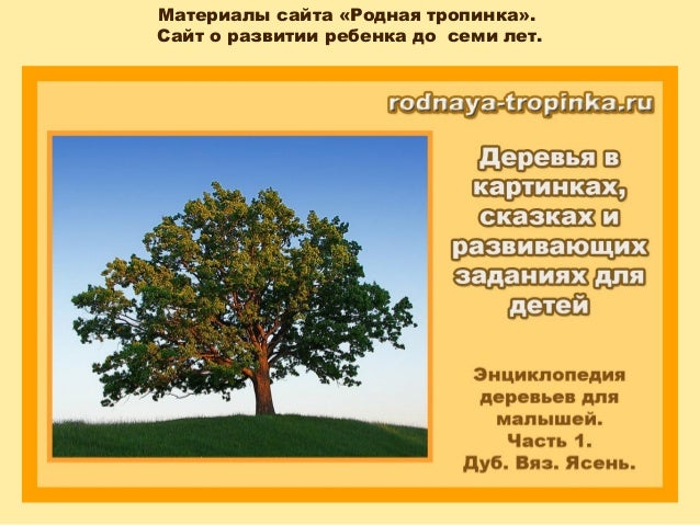 Анекдоты про лето ReiBoot - iOS Data Recovery, Data Rescue, PDF and