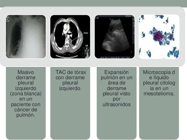 tesla auto elettriche costo precio de tesla 2019