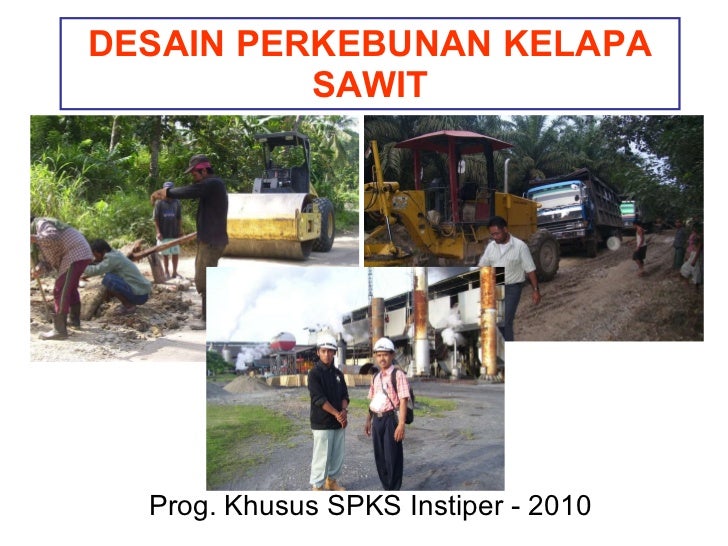 perkebunan kelapa sawit Kebijakan ini, membuat ekspansi perkebunan kelapa sawit indonesia melambat hingga 50% joko menilai, moratorium hutan melahirkan potential loss. perkebunan kelapa sawit Kebijakan ini, membuat ekspansi perkebunan kelapa sawit indonesia melambat hingga 50% joko menilai, moratorium hutan melahirkan potential loss.