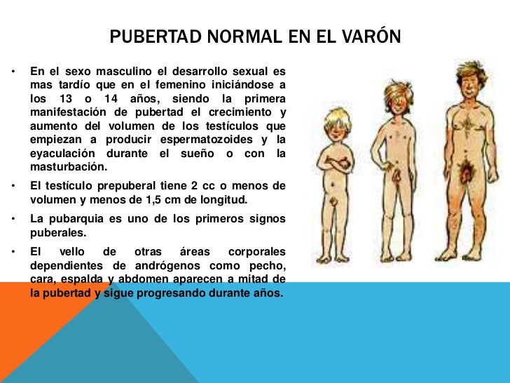 El erotismo con un pequeño miembro