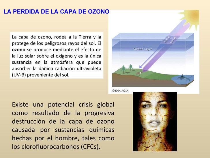 Si es posible adelgazar a la recepción de la sosa