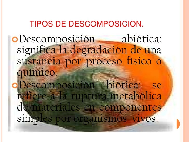 Descomposicion de los Alimentos