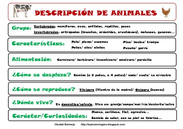 Resultado de imagen de describir a un animal